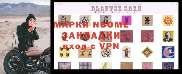 сатива Сосновый Бор