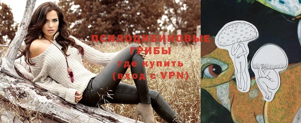кокс Бородино