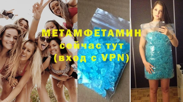сатива Сосновый Бор