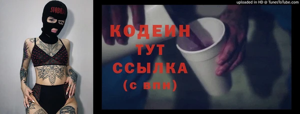 индика Богородск