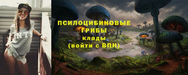 кокс Бородино