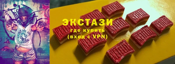индика Богородск