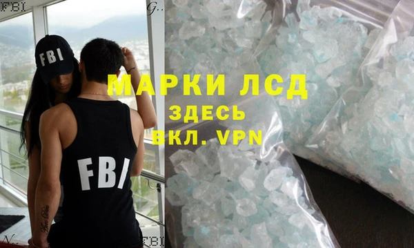 ПСИЛОЦИБИНОВЫЕ ГРИБЫ Строитель
