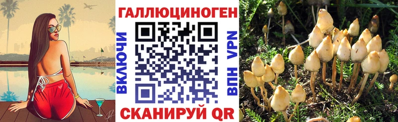 Галлюциногенные грибы Psilocybe  хочу наркоту  Губкин 